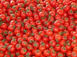 tomatoes-73913_1280