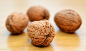walnuts-552975_1280