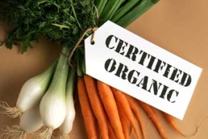 organic_food
