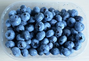 blueberries-435610_1280