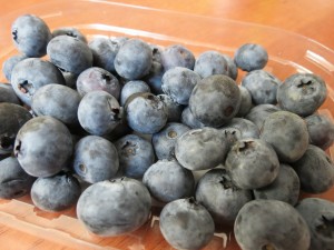 blueberries-490826_1280