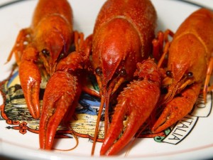 lobster-3454_640