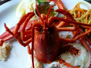 lobster-54994_1280