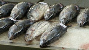 fish-market-244415_640