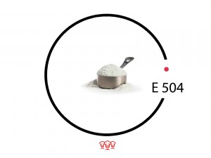е504