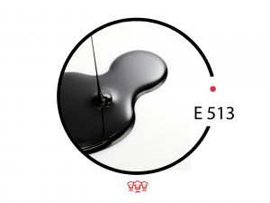 E513