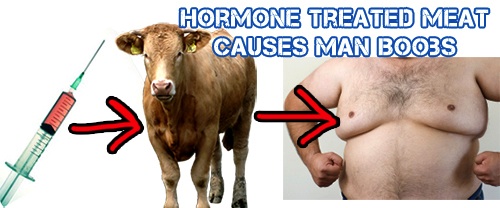 Hormone-Treated-Meat-Causes-Man-Boobs