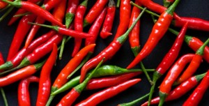 chili-pepper-1-572x290