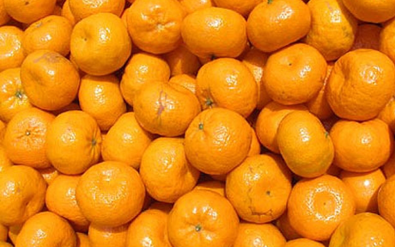 mandariny-optom
