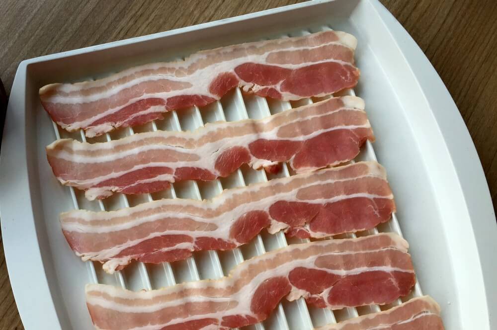 BaconSalz01