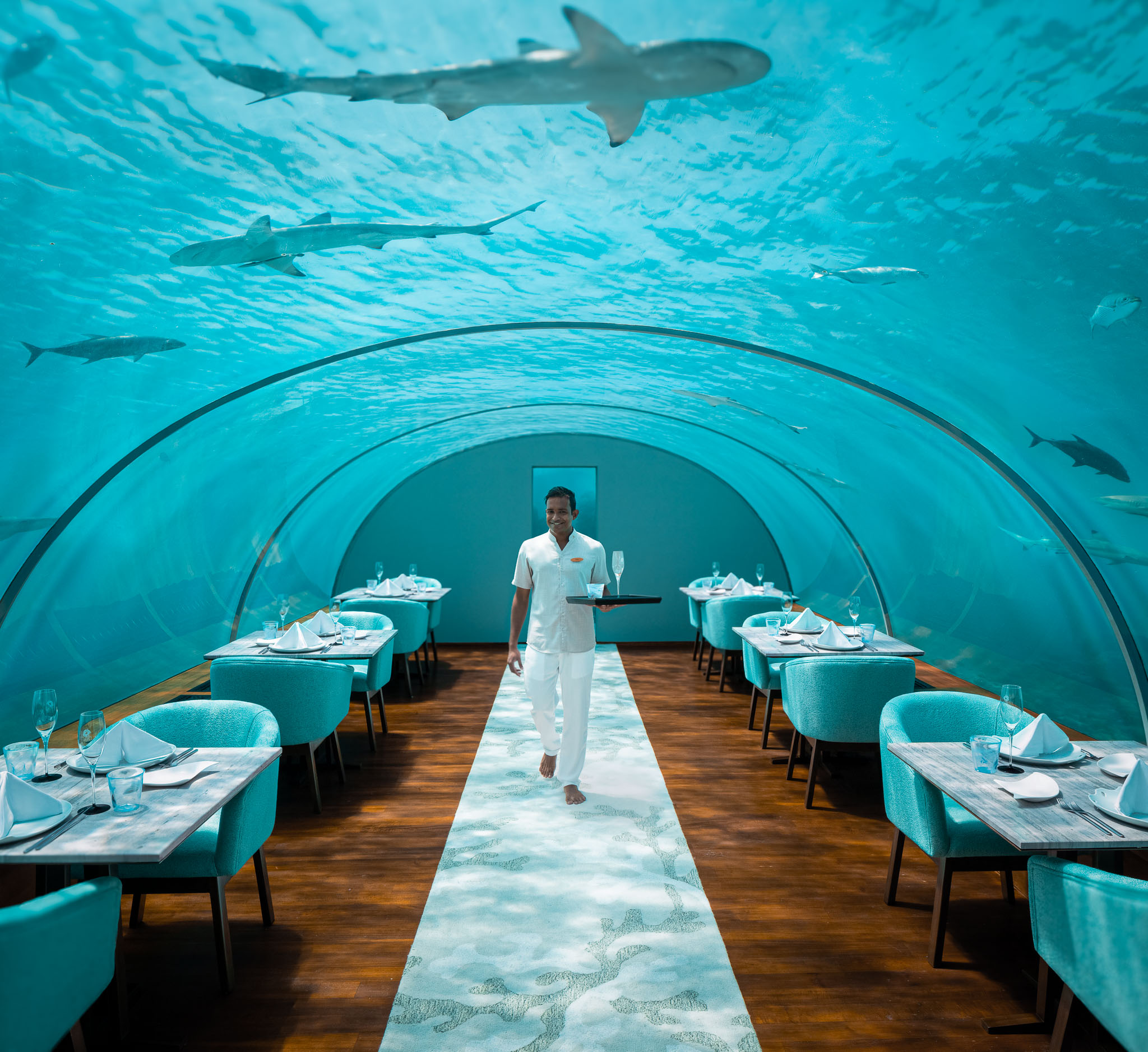 Conrad Maldives Rangali Island Ithaa Undersea Restaurant dining with aqua life