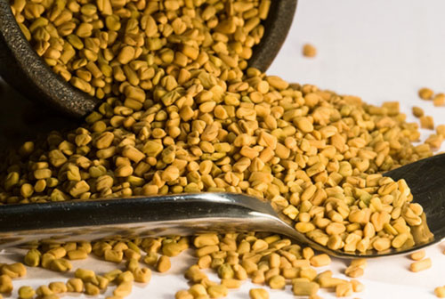 Fenugreek
