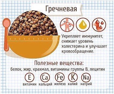GjE8s81PUiU