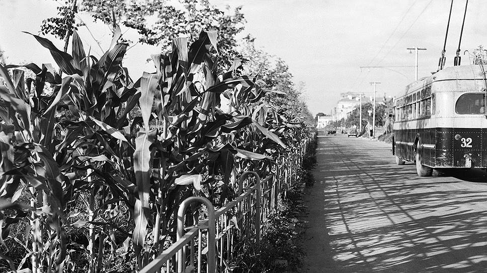KOG_004528_00002_2_t218_213909