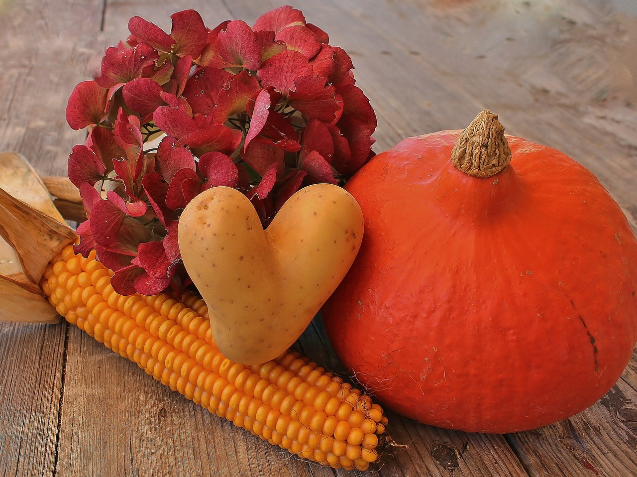 autumn-616270_1280