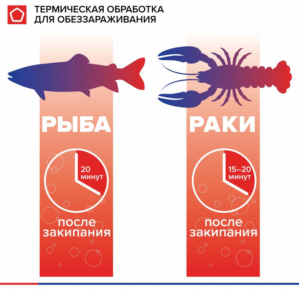 RK fih parasites-termo.jpg