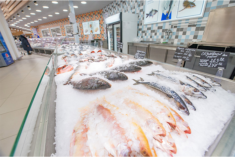 Fish3.jpg