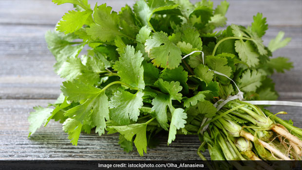 coriander-620_620x350_61506079715