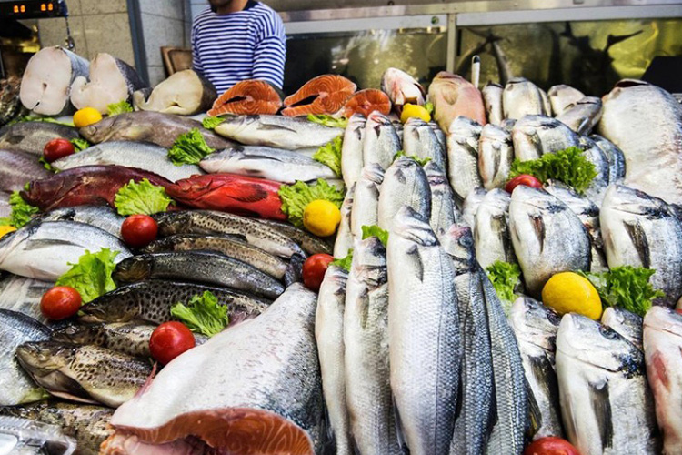 Fish2.jpg