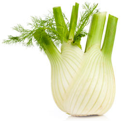 fennel