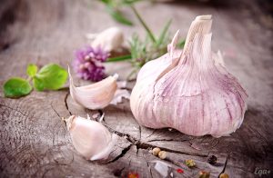 garlic-big