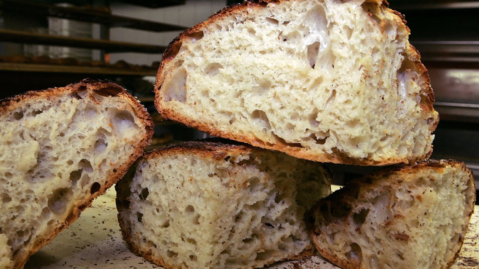 kneadbread-copy-superJumbo-v3