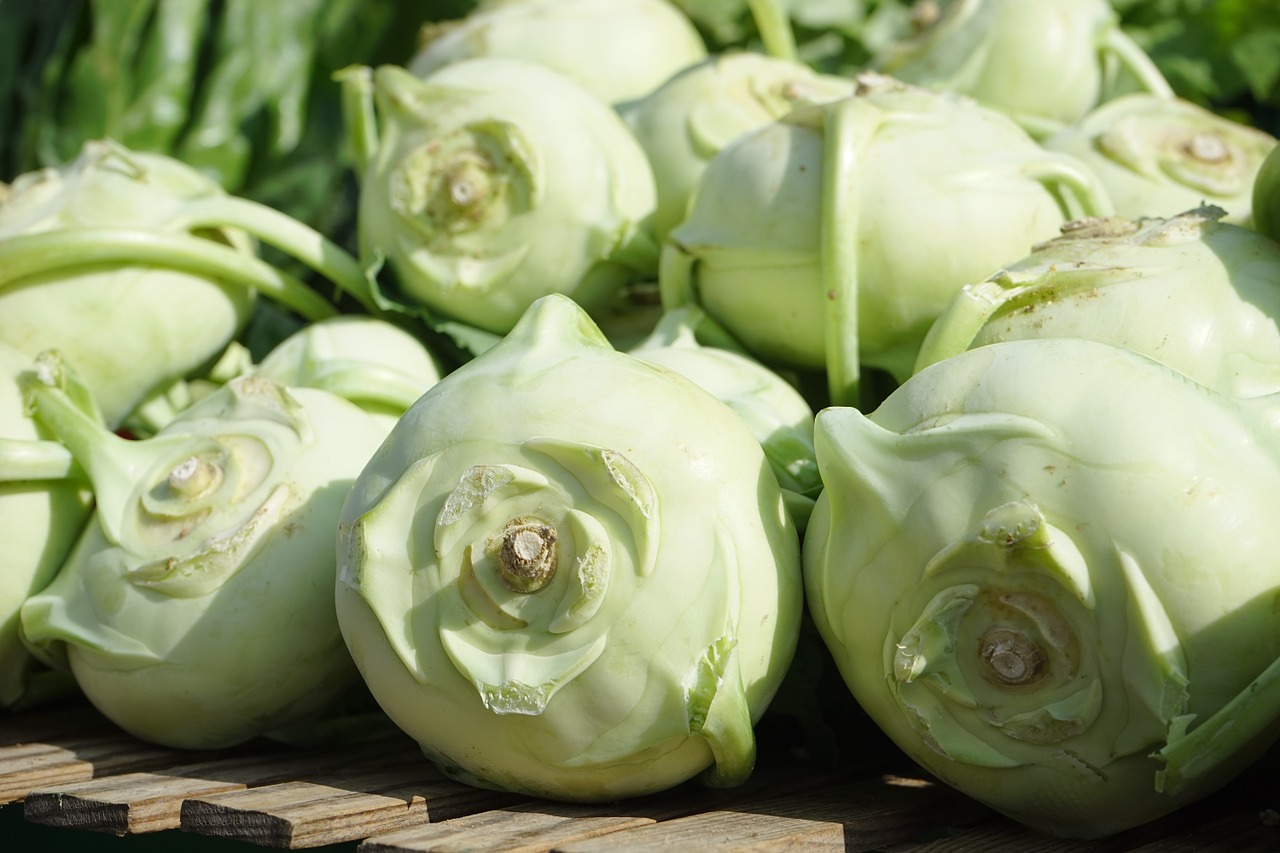 kohlrabi-318154_1280
