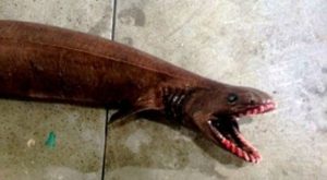 photo_147623