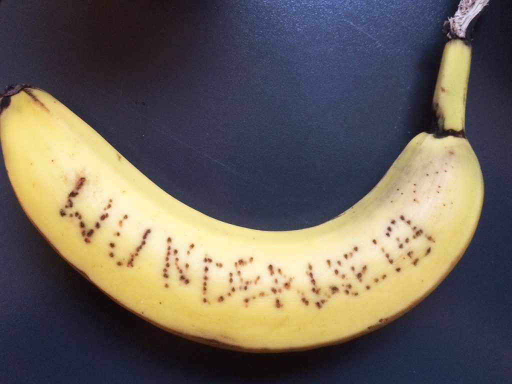 picbananefertig
