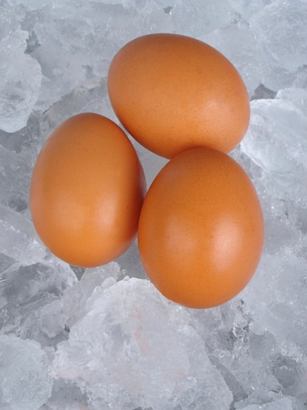 ww-einfrieren-eier_448x597